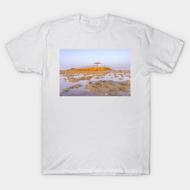 BEACH WATCH TOWER T-Shirt by likbatonboot